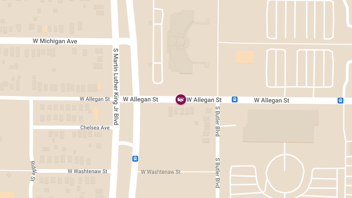 Hit-and-Run Crash at N MLK Jr Blvd & W Allegan St Leaves One Injured