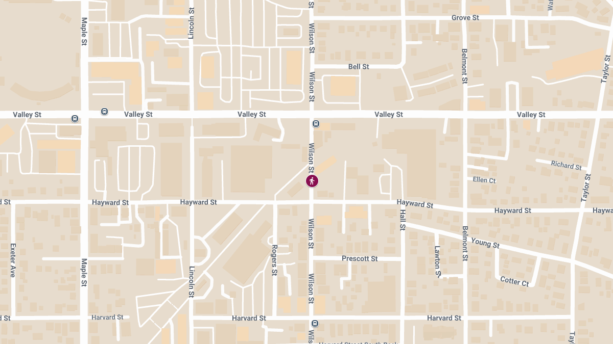 Hit-and-Run Injury Crash on Wilson St