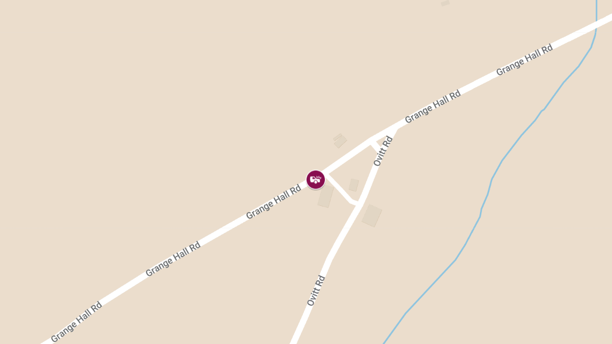 Injuries Reported After School Bus Overturns on Grange Hall Rd