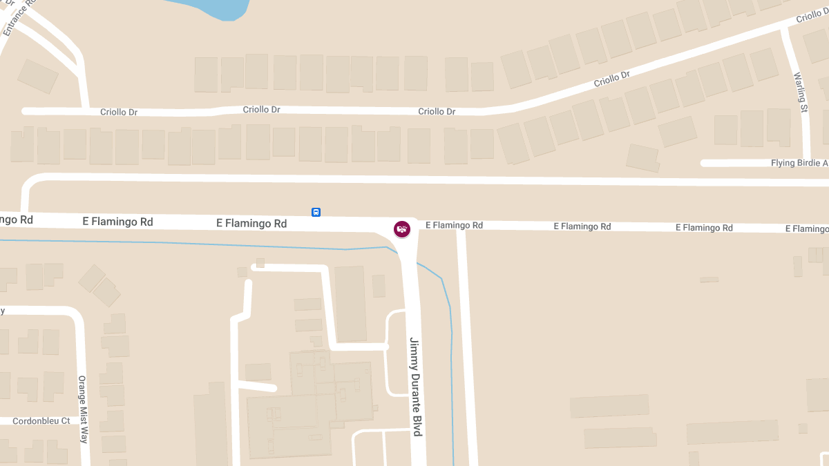 Injuries in Crash at E Flamingo Rd & Jimmy Durante Blvd