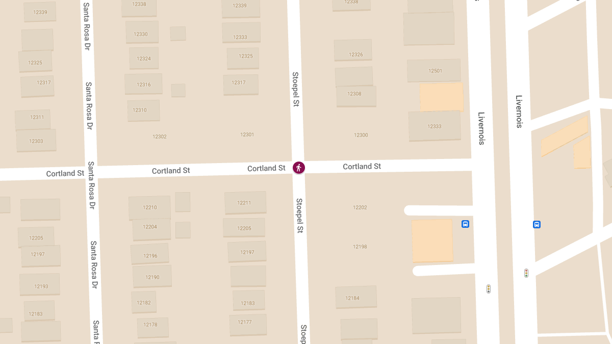 Injuries in Hit-and-Run Crash Involving Ford Taurus at Cortland St & Stoepel St