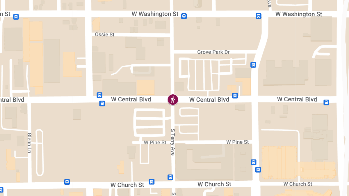 Injuries in Hit-and-Run at S Terry Ave & W Central Blvd