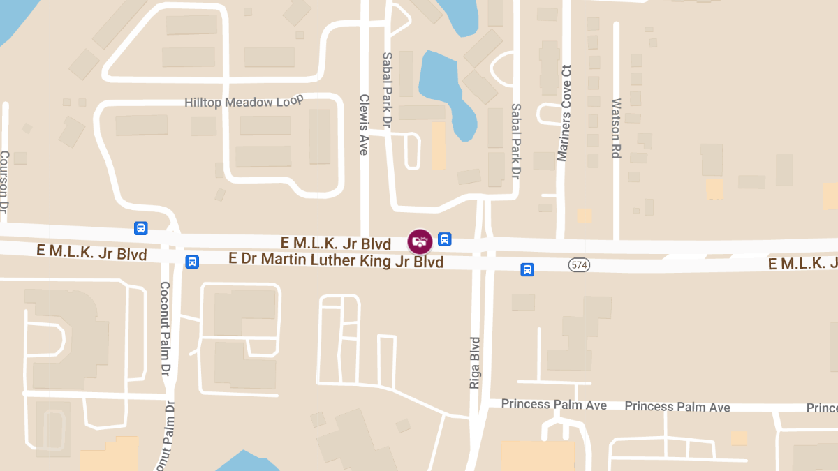 Injury Crash on Dr. Martin Luther King Jr Blvd Near Sabal Park Dr