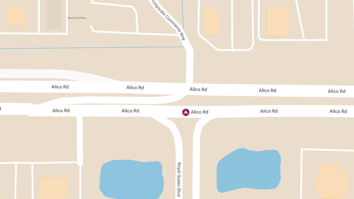 Motorcyclist Seriously Injured in Crash on Alico Rd