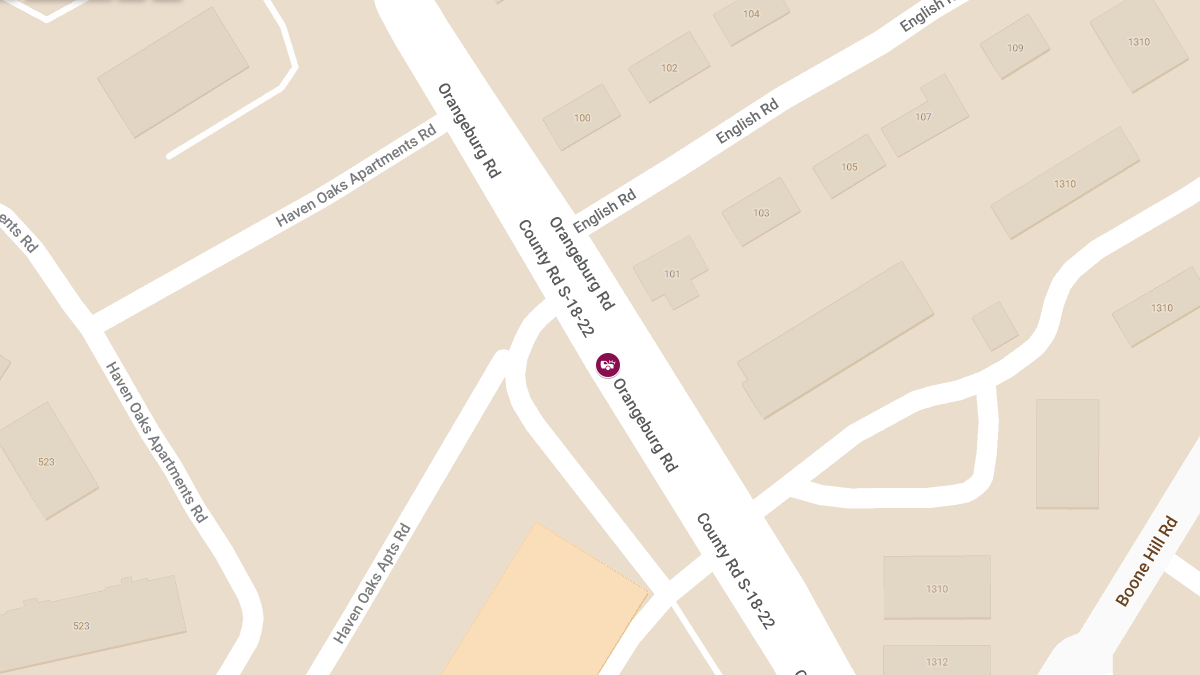 One Killed, Another Injured in Head-On Crash on Orangeburg Rd