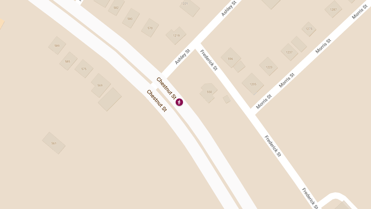 One Killed, Another Injured in Pedestrian Crash on Chestnut St