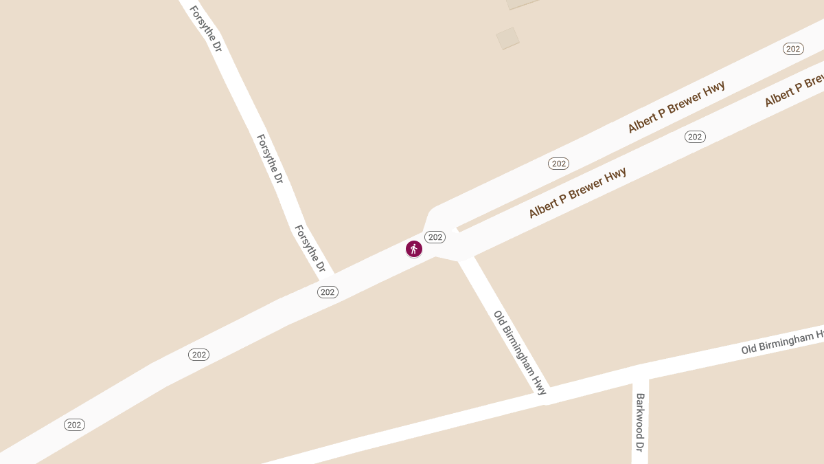 Pedestrian Killed After Being Struck by Two Vehicles on Alabama 202