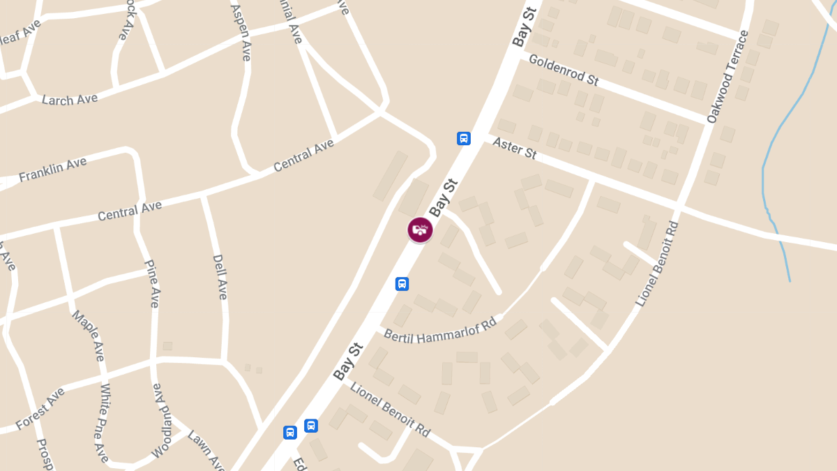 Pedestrian Killed in Crash on Bay St