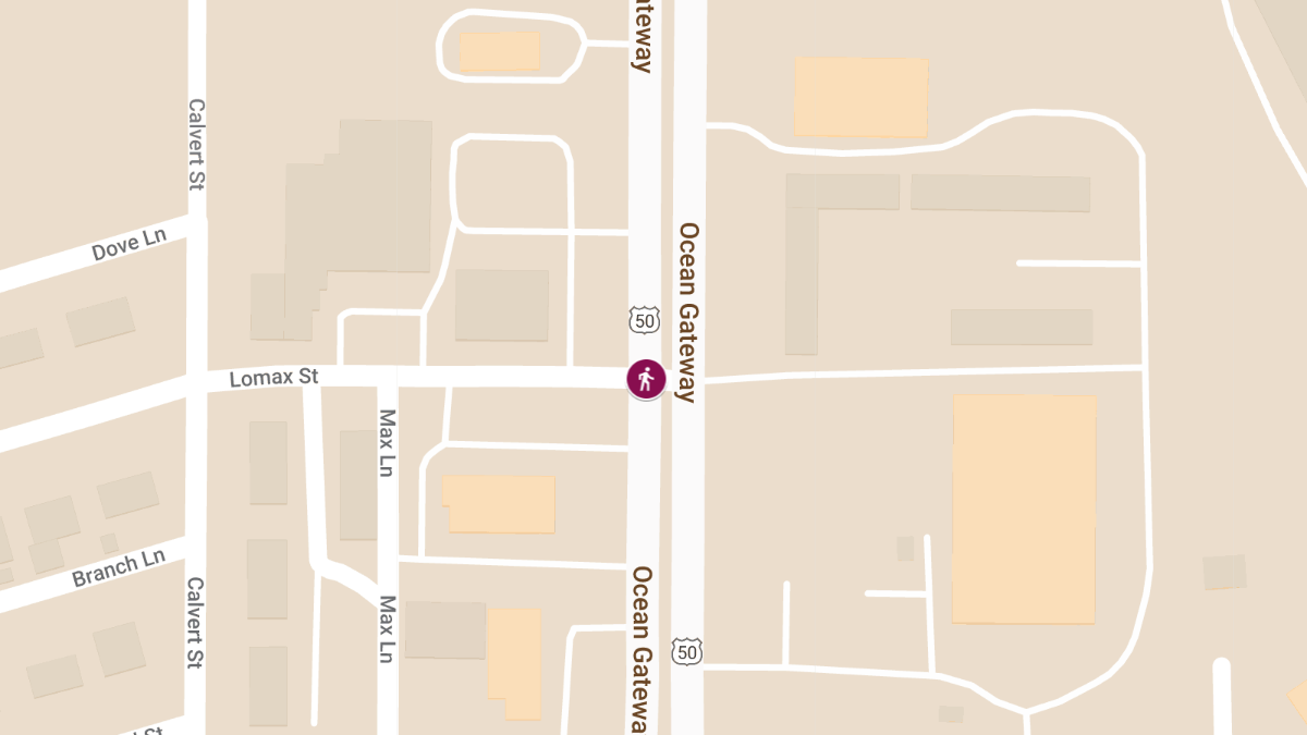 Pedestrian Killed in Early Morning Crash on Rte 50