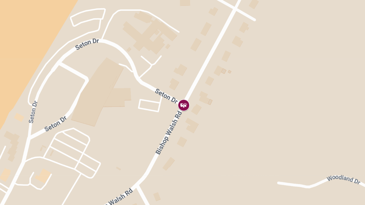 Pedestrian Struck at Bishop Walsh Rd & Seton Dr
