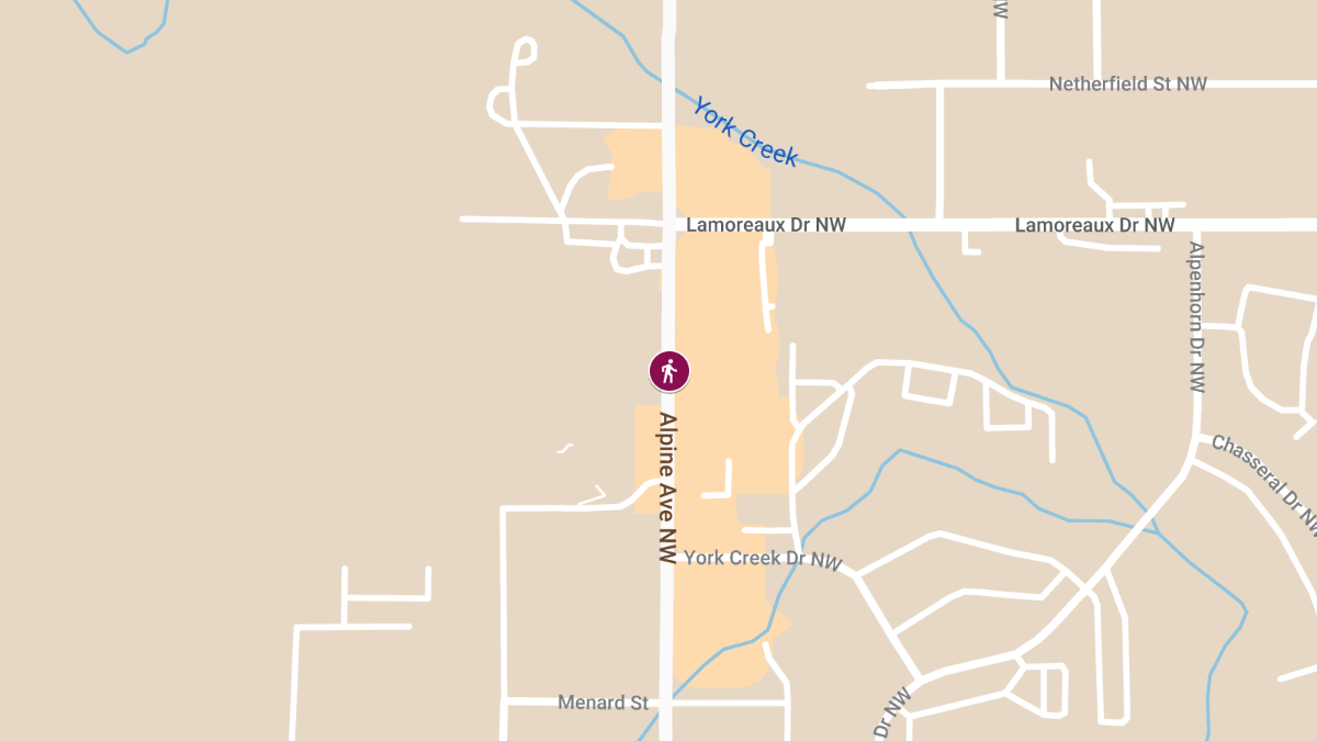 Pedestrian Struck by Car on Alpine Ave Near Lamoreaux