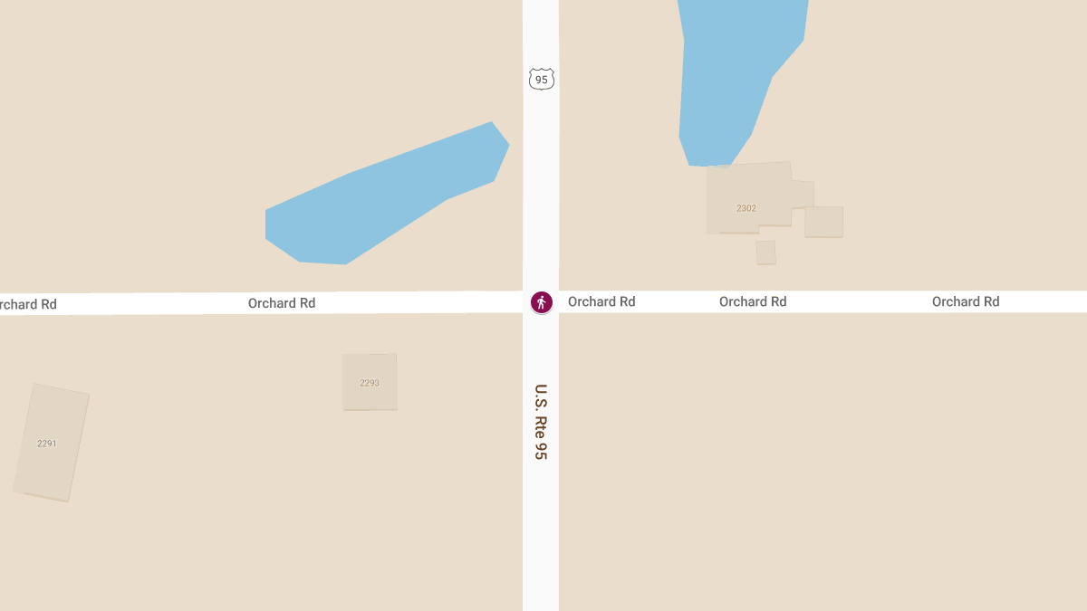 Pedestrian Struck in Crash at Hwy 95 & Orchard