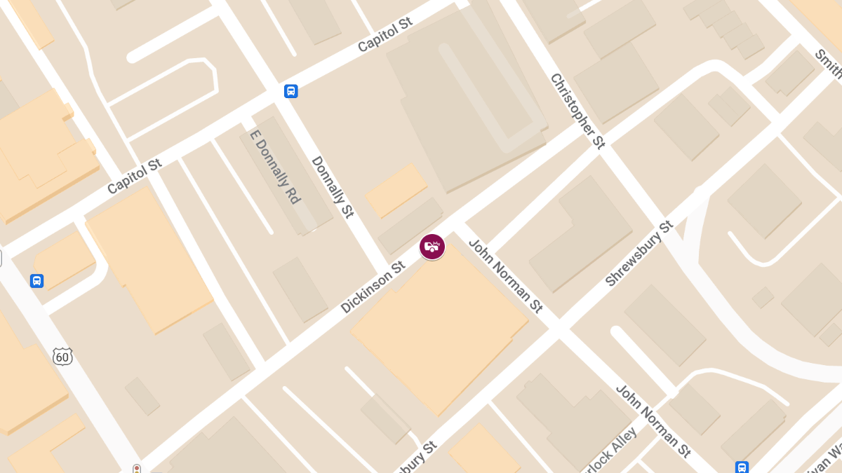 Pedestrian Struck on 422 Dickinson St