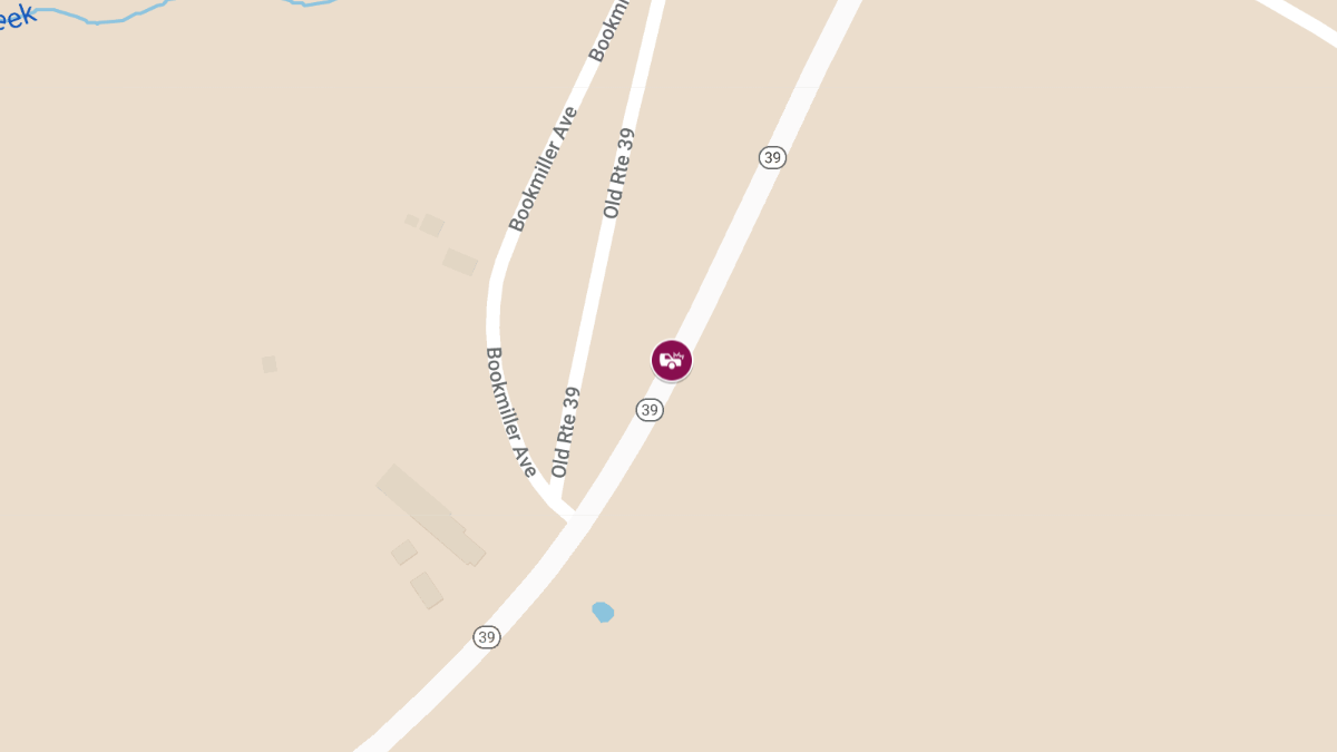 Snowmobile Crash on Rt. 39 Near McCall Rd Leaves One Injured