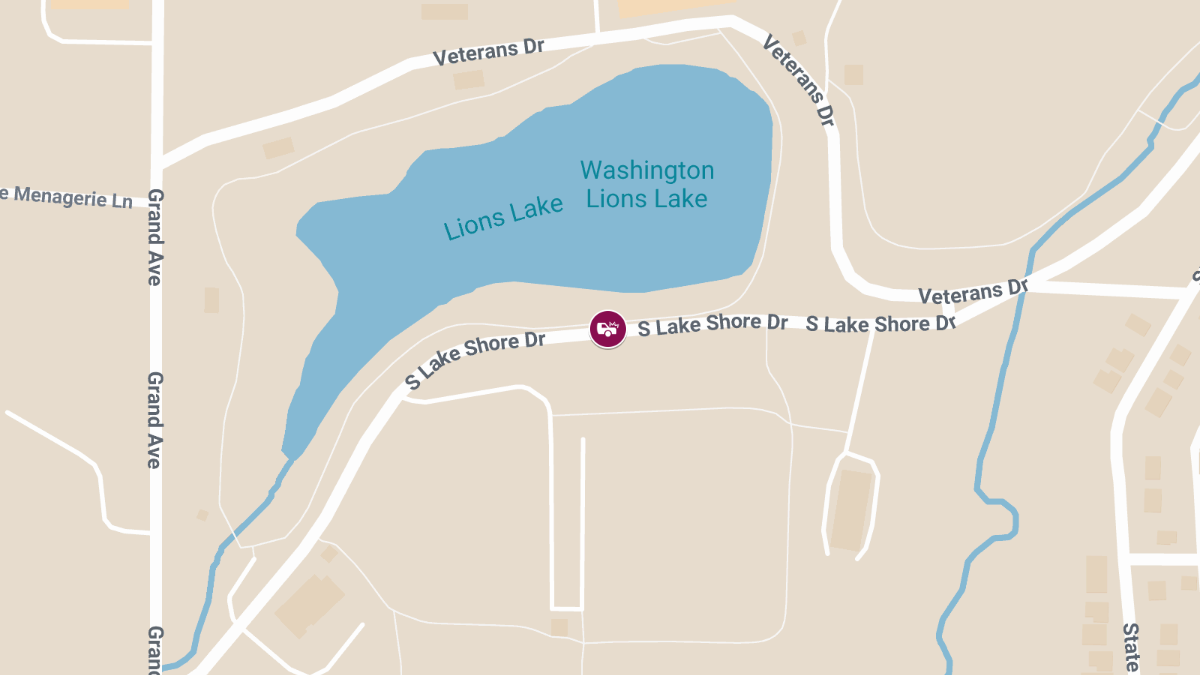 Two Killed, Two Injured in Late-Night Crash on S Lake Shore Dr