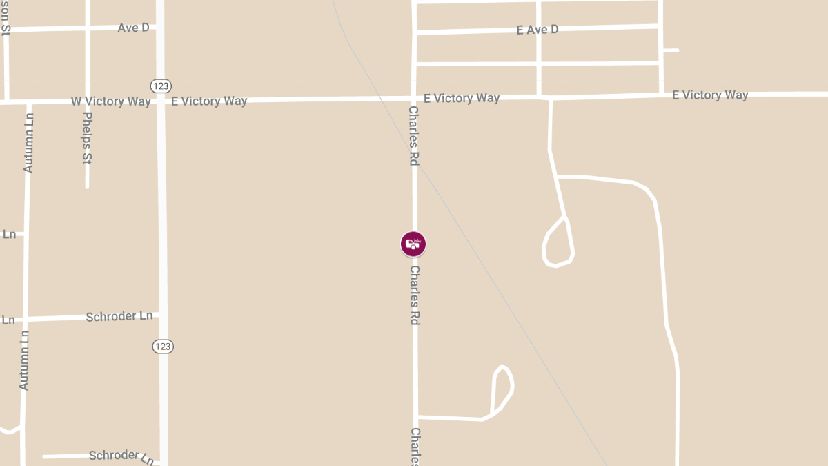 Two Snowmobilers Injured in Suspected DUI Crash on County Rd 451