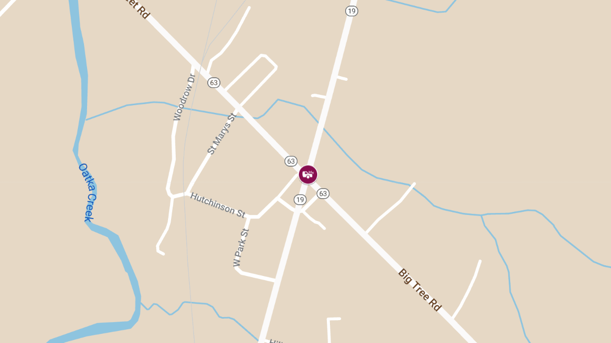 Two-Vehicle Crash with Injuries at Big Tree Rd & Park St