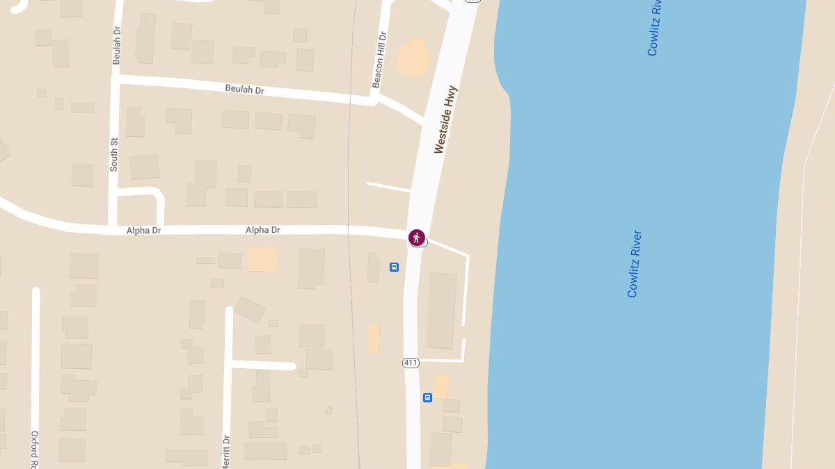Vehicle vs. Pedestrian Collision with Injuries at Alpha Dr & West Side Hwy