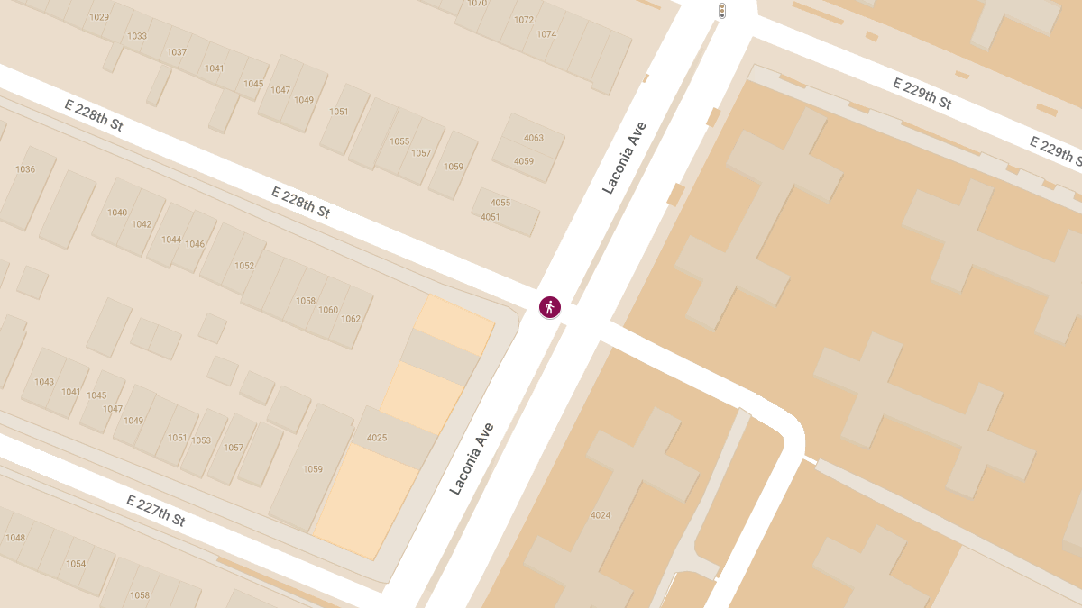 Victim Intentionally Struck by Vehicle at Laconia Ave & E 228th St