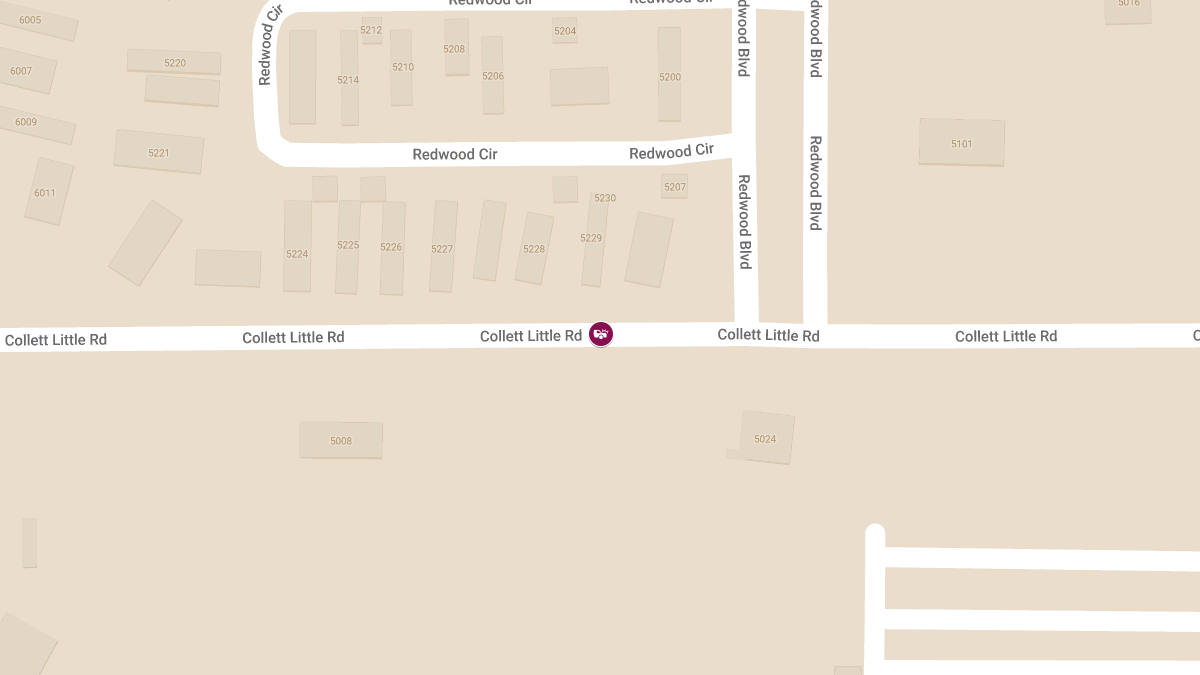 Woman Dies After Mobile Home Fire on Collett Little Rd