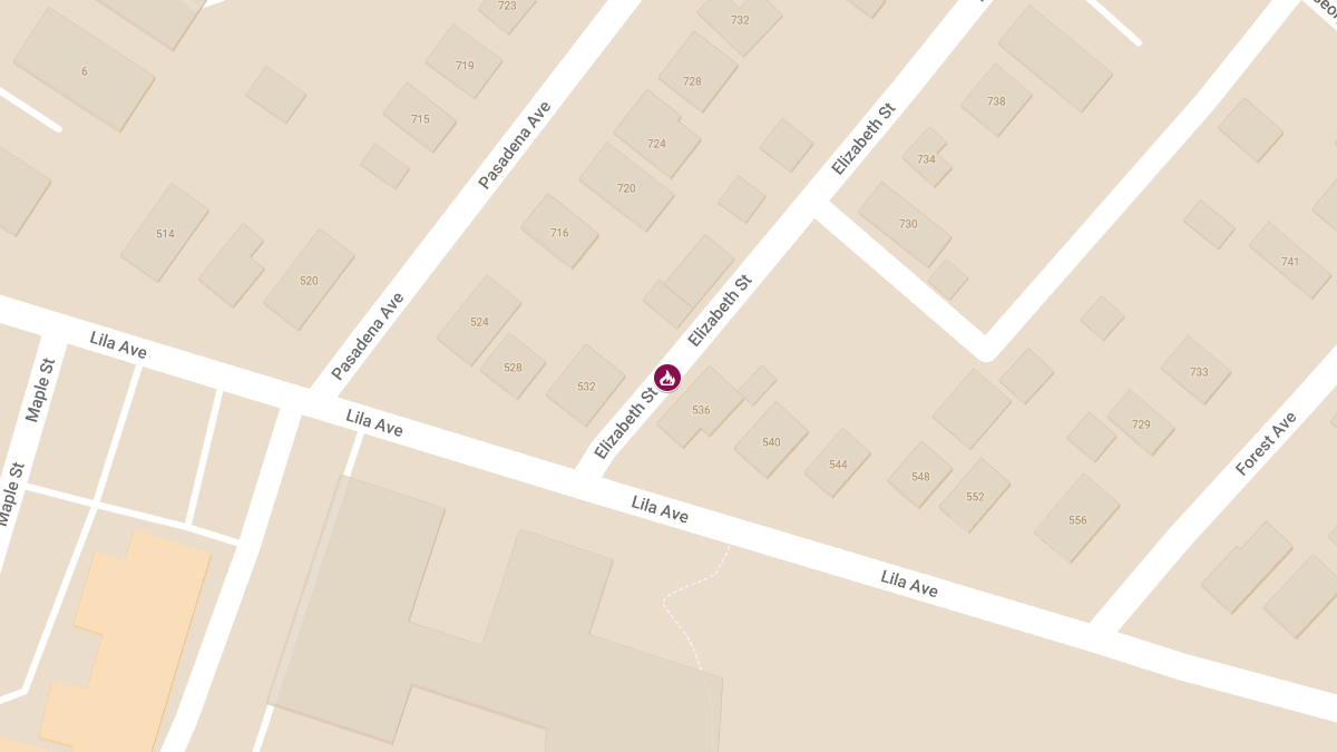 Woman Killed, Two Injured in Overnight House Fire on Elizabeth Street