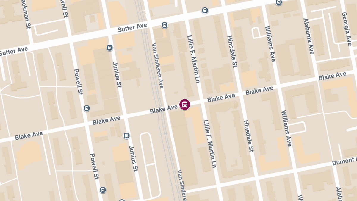 Woman Killed in Crash with School Bus at Blake Ave & Van Sinderen Ave