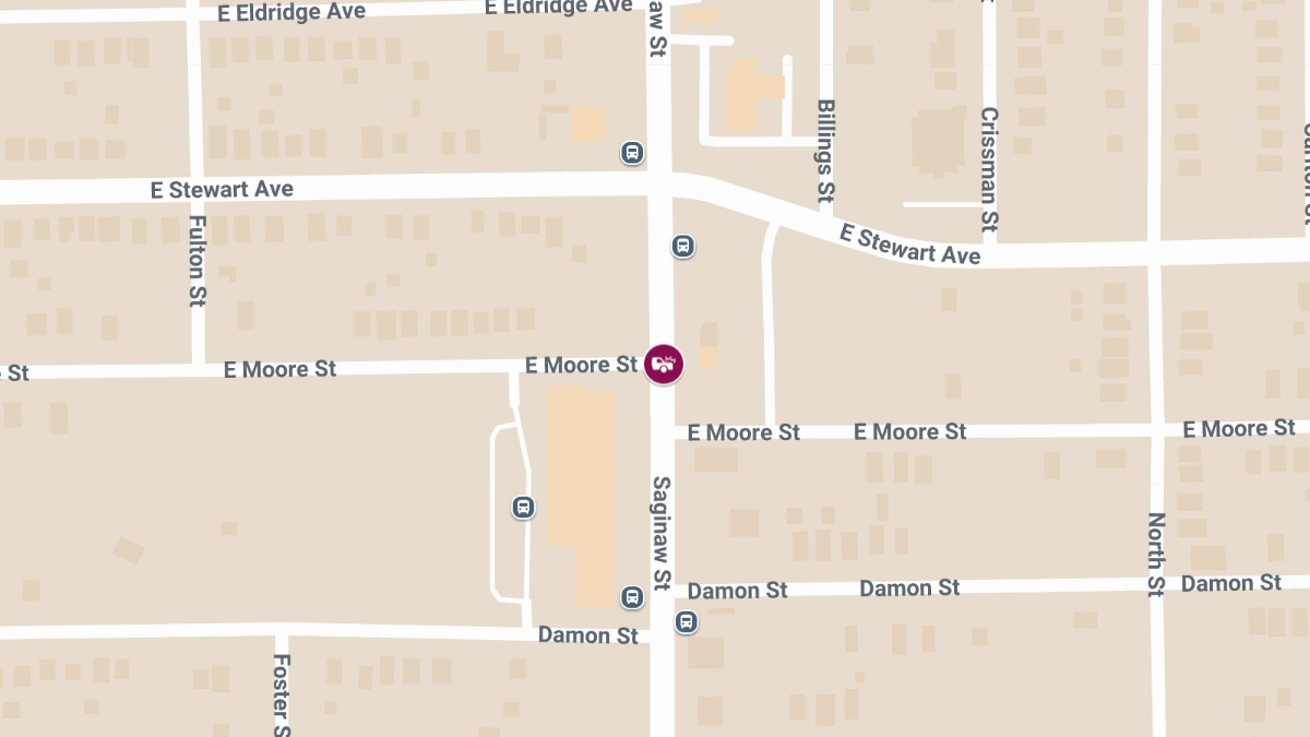 Woman Killed in Hit-and-Run on Saginaw St Near Moore St