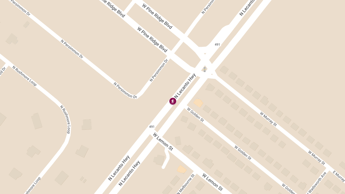 Woman Seriously Injured After Being Struck at Lecanto Hwy Crash Scene