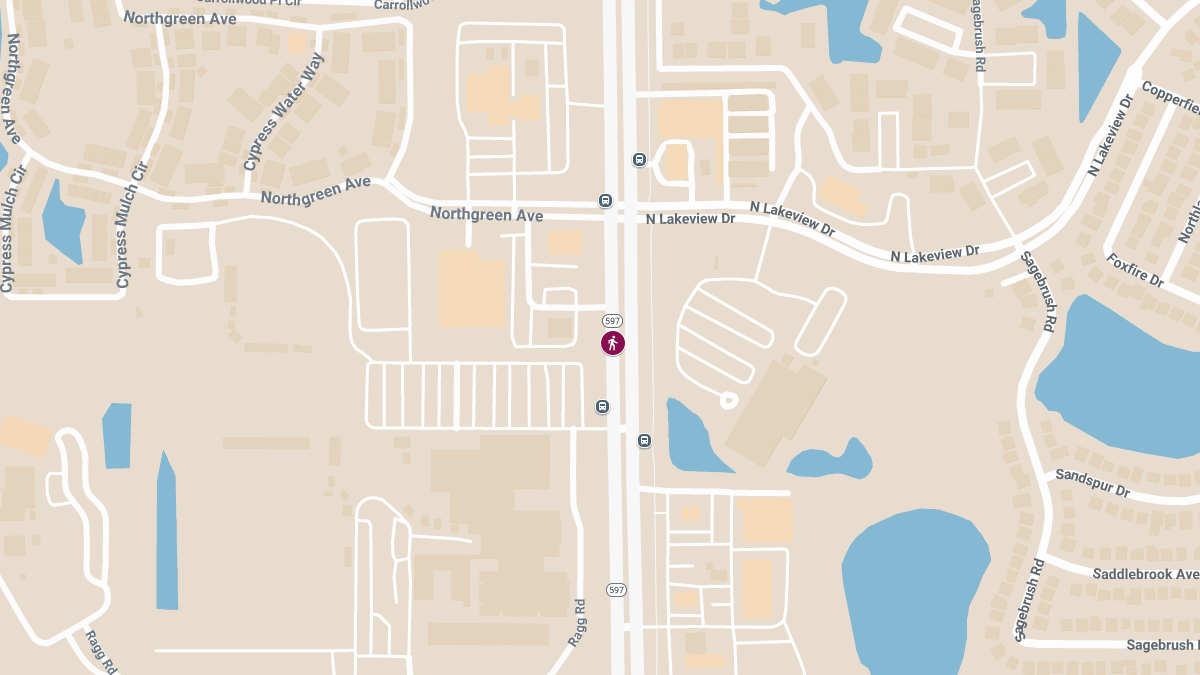 72-Year-Old Bicyclist Killed in Crash with Scooter on Dale Mabry Hwy