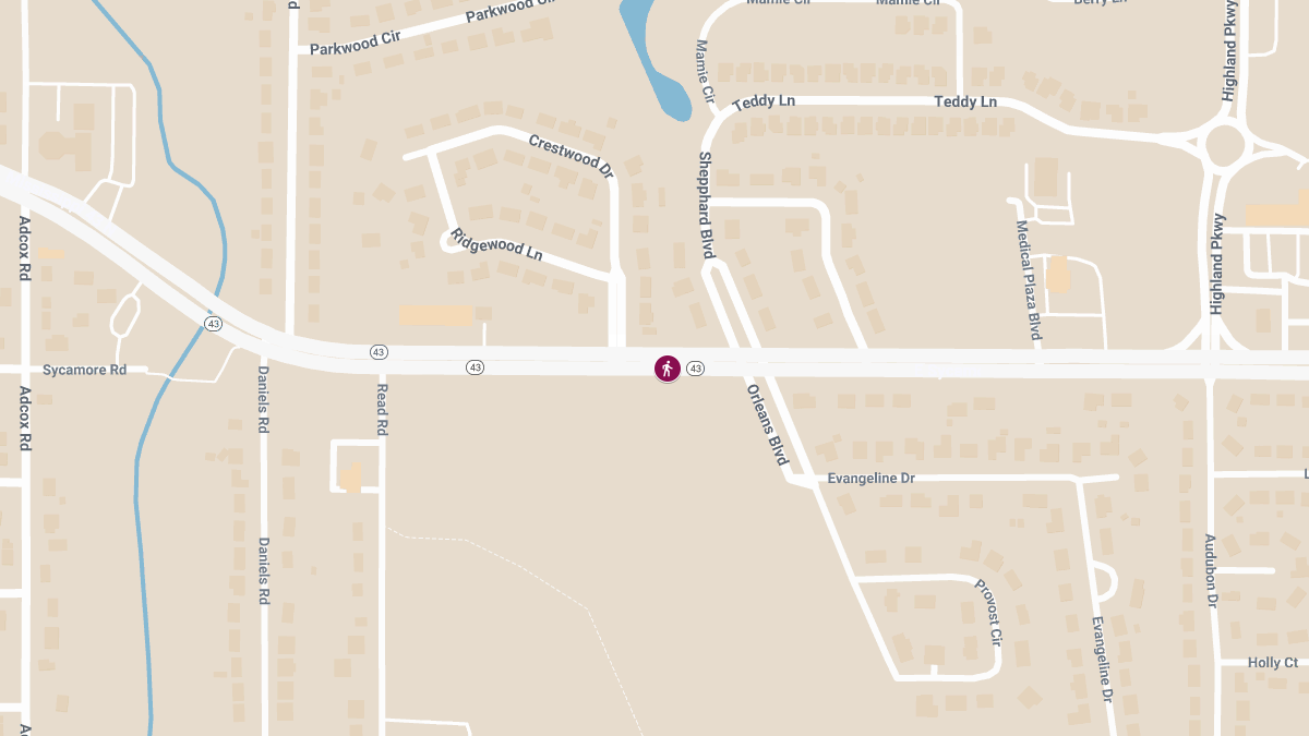 9-Year-Old Girl Fatally Struck by Vehicle on Highway 43