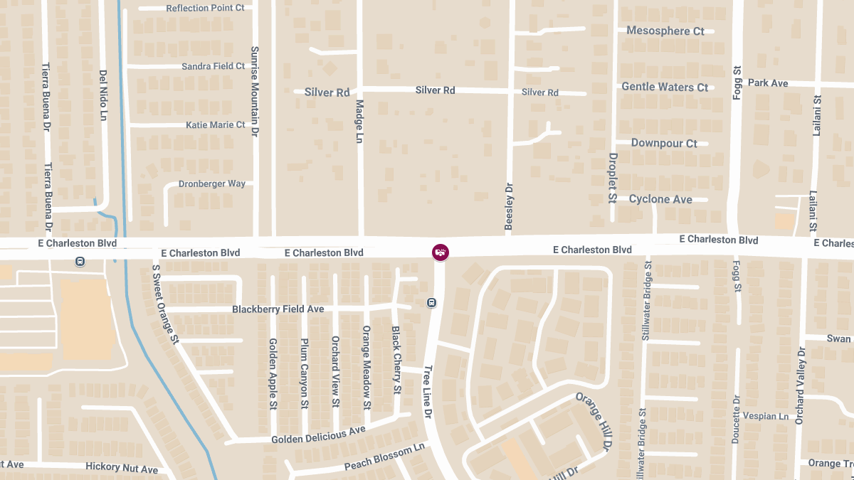 Auto Accident with Injuries at Tree Line Dr & E Charleston Blvd