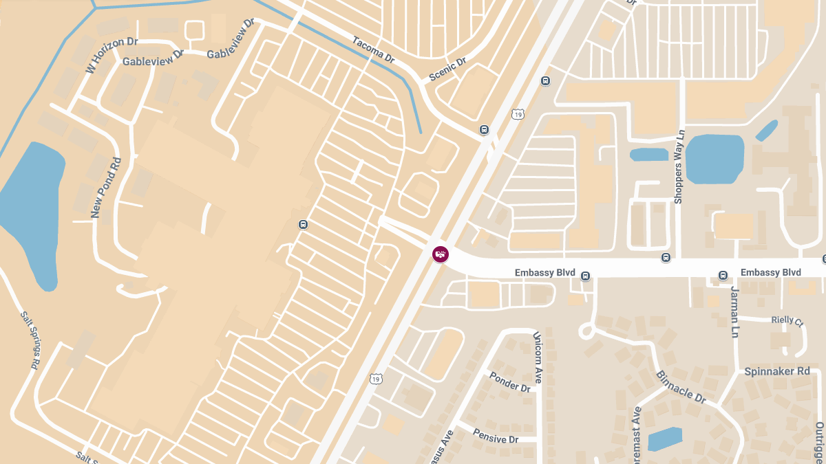 Crash with Injuries at US-19 & Embassy Blvd