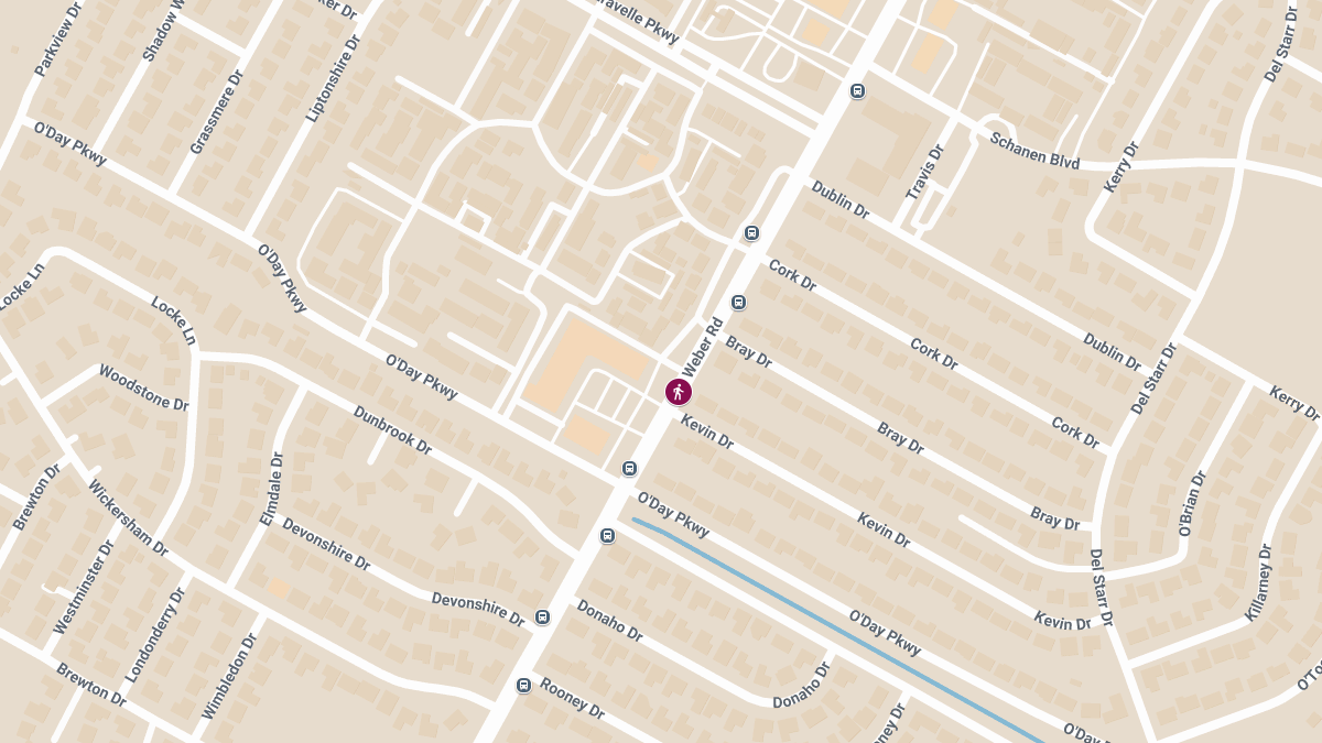Elderly Man Killed in Pedestrian Accident on Weber Rd