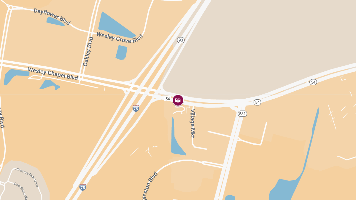 Fatal Crash on SR-54 Near I-75 Exit 279