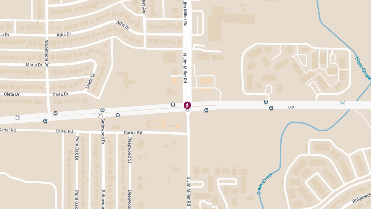 Fatal Pedestrian Crash at S Jim Miller Rd & Great Trinity Forest Way