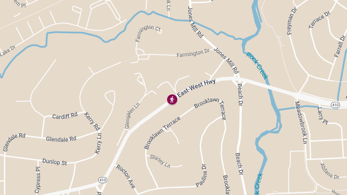 Fatal Pedestrian Crash on East-West Hwy