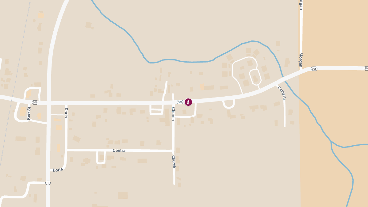 Fatal Pedestrian Crash on Highway 306 West