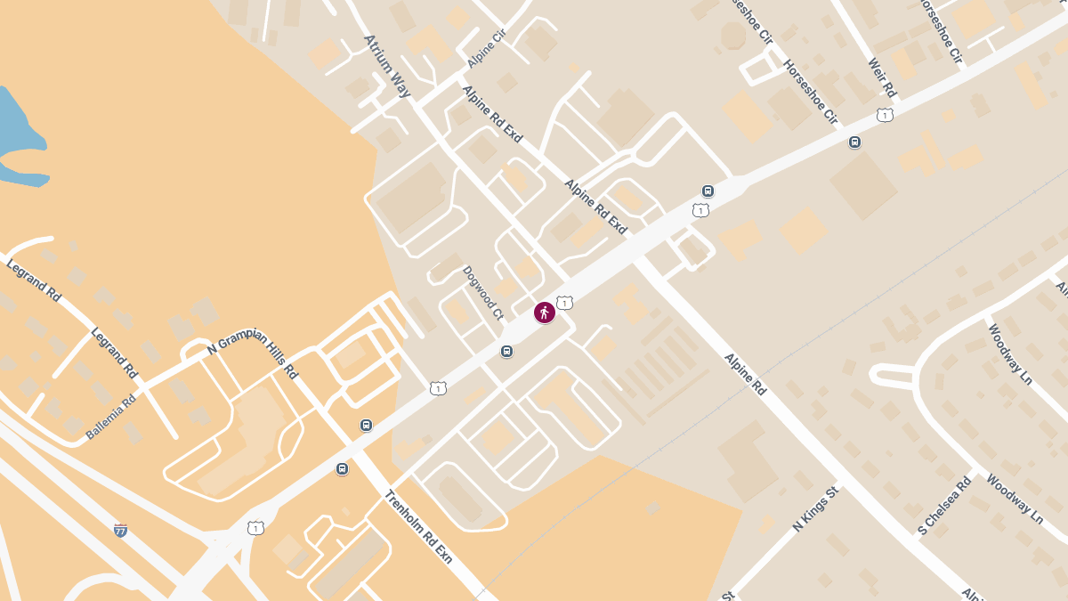 Fatal Pedestrian Crash on Two Notch Rd Near Atrium Way