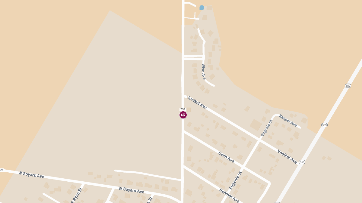 Fatal Three-Vehicle Collision on FM 738 Near Seim Ln