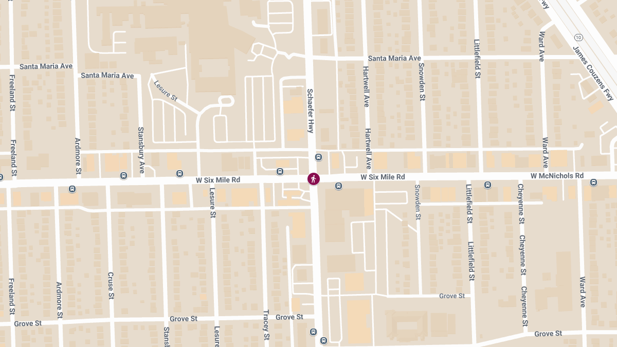 Hit-and-Run Crash with Injuries at Schaefer Hwy & W McNichols Rd