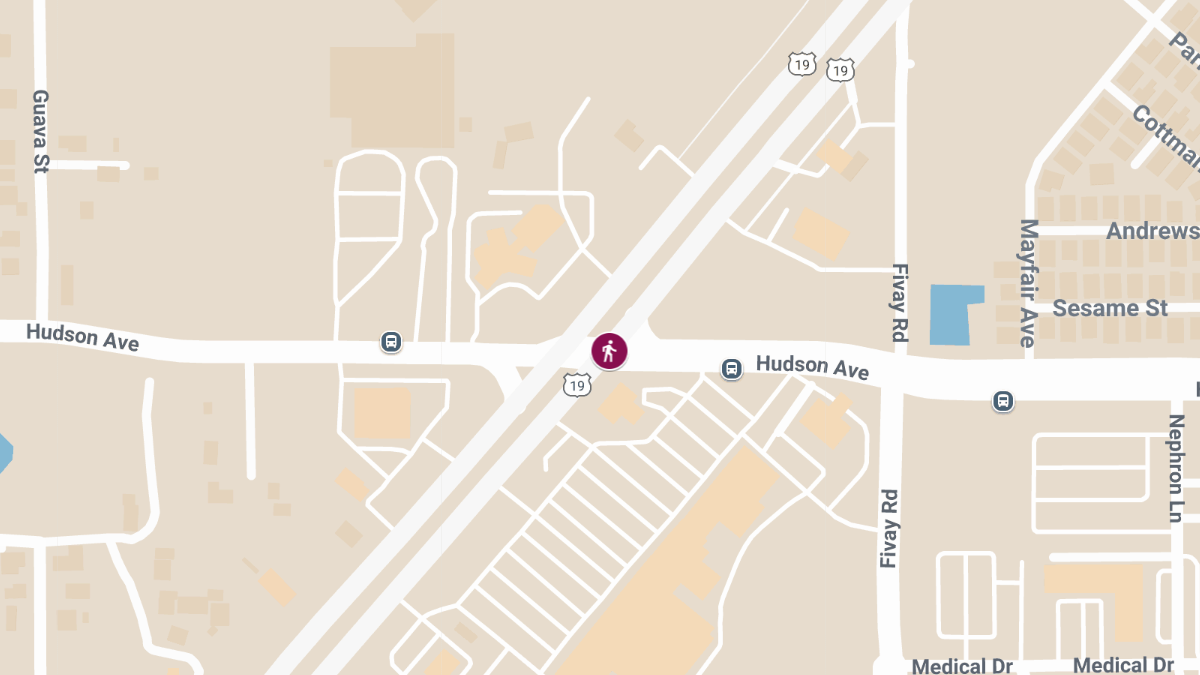 Hit-and-Run Crash with Injuries at US-19 & Hudson Ave