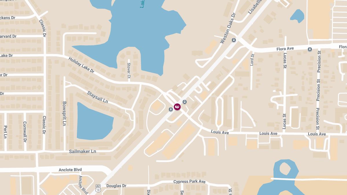 Hit-and-Run Crash with Injuries on Louis Ave at US-19