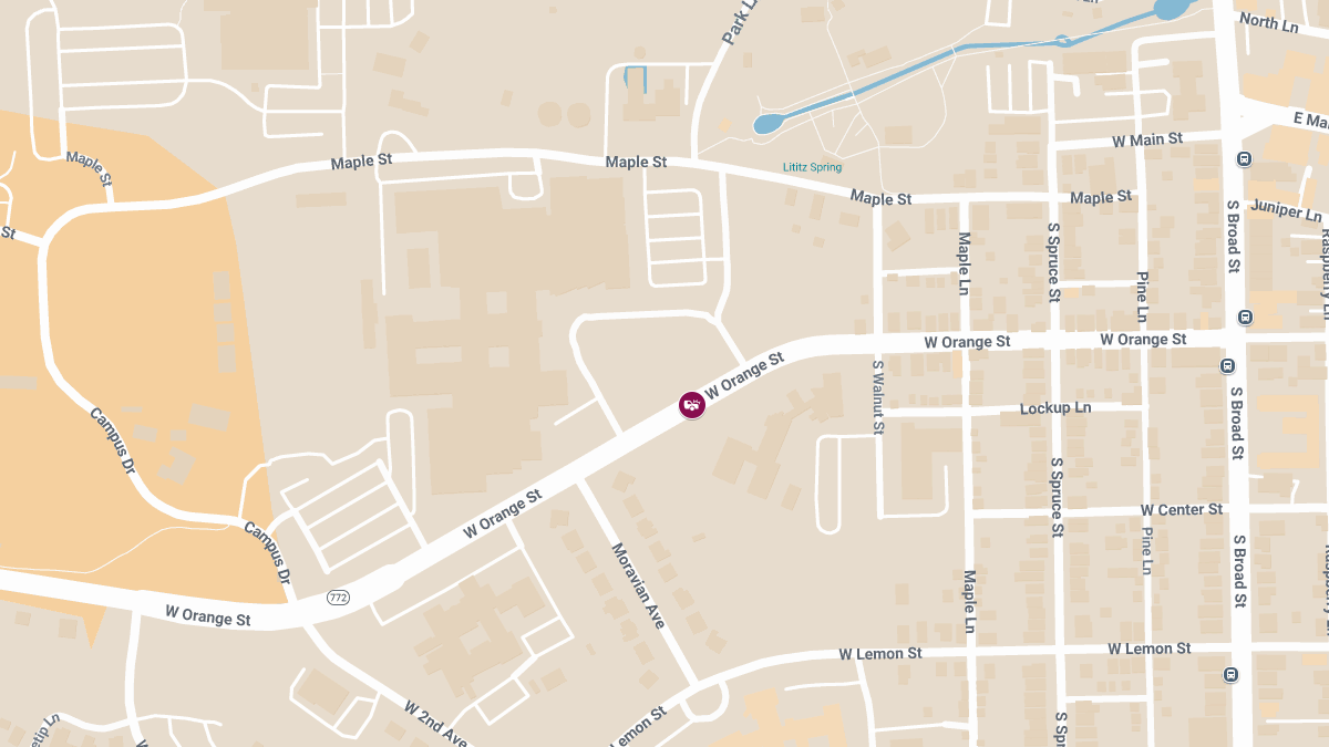 Horse and Buggy Crash Injures Two on W Orange St