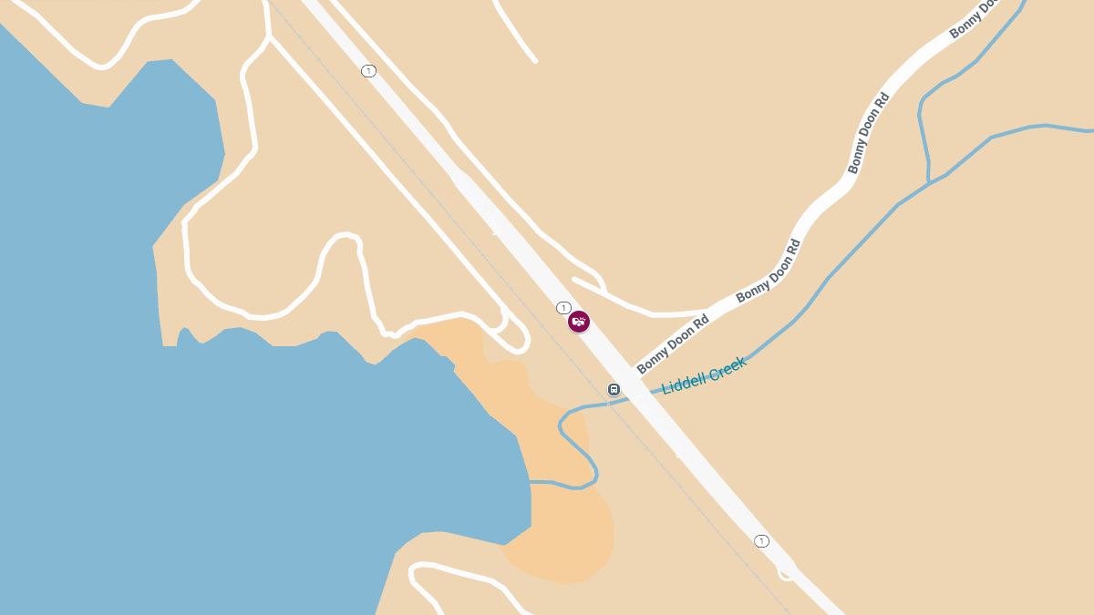 Injuries in Accident on CA-1 North Near Bonny Doon Rd