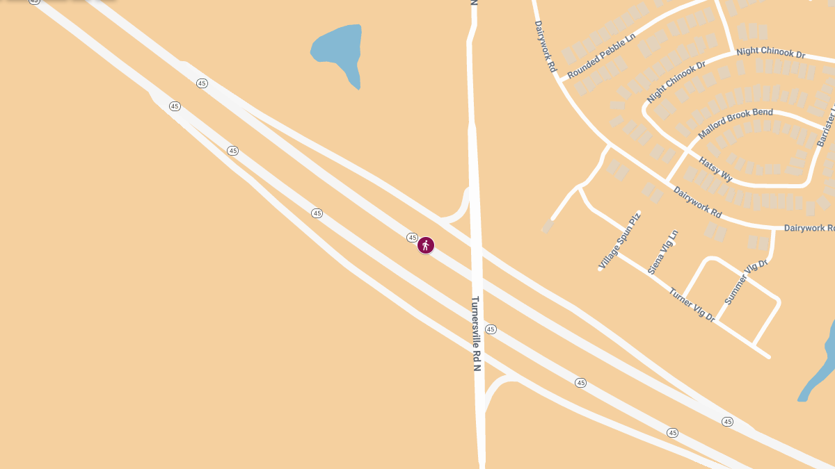 One Killed in Auto-Pedestrian Crash on S SH 45 Near Turnersville Rd