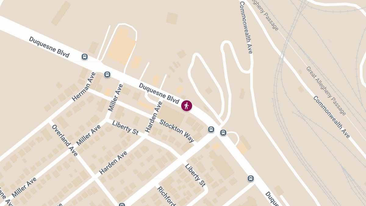 Pedestrian Critically Injured in Crash on Duquesne Blvd Near Kennywood Park