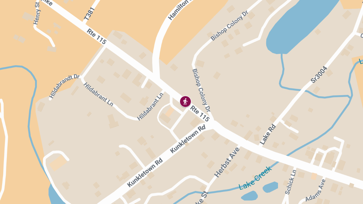 Pedestrian Hit by Vehicle on Rte 115