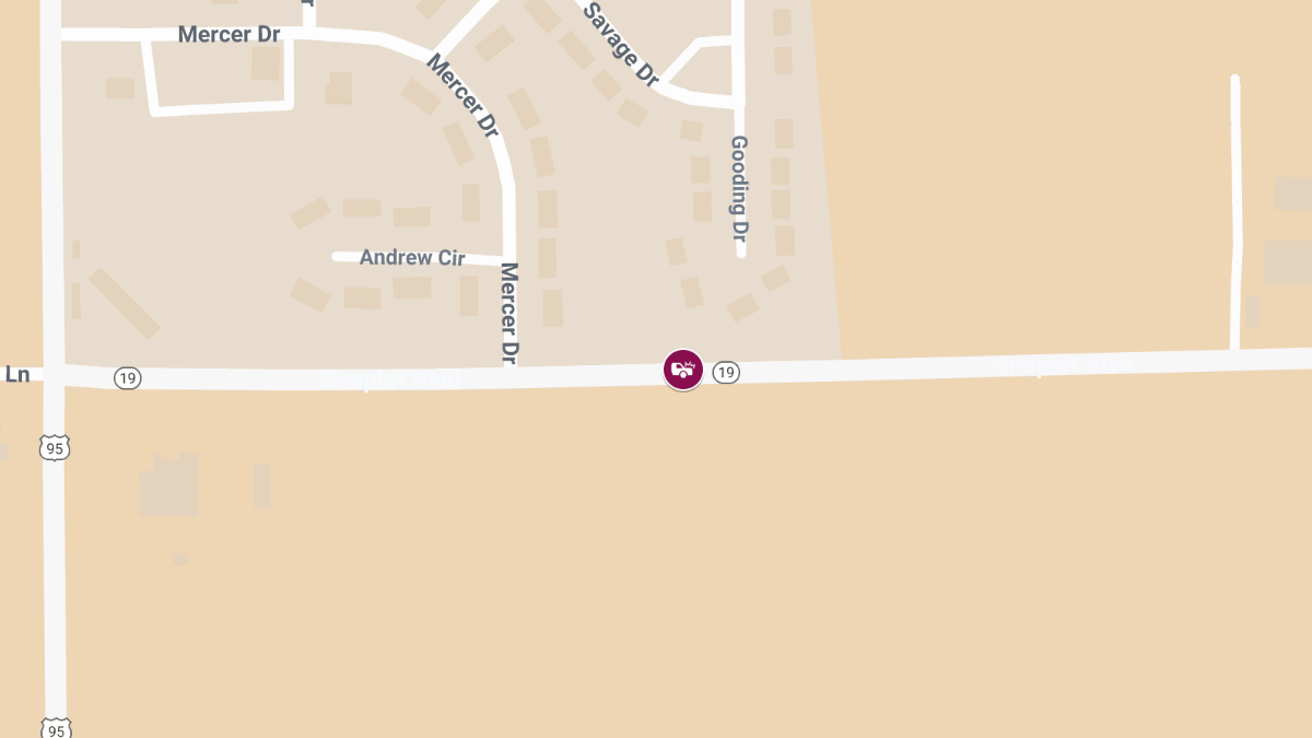 Pedestrian Killed, Driver Injured in Crash on Idaho Hwy 19