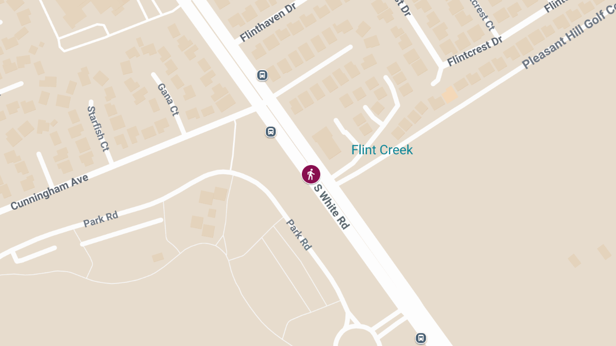 Pedestrian Killed in Crash on S White Rd