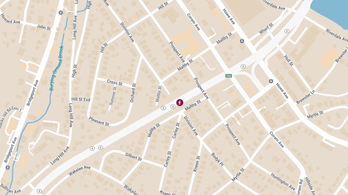 Pedestrian Seriously Injured in Crash on Rte 8 South